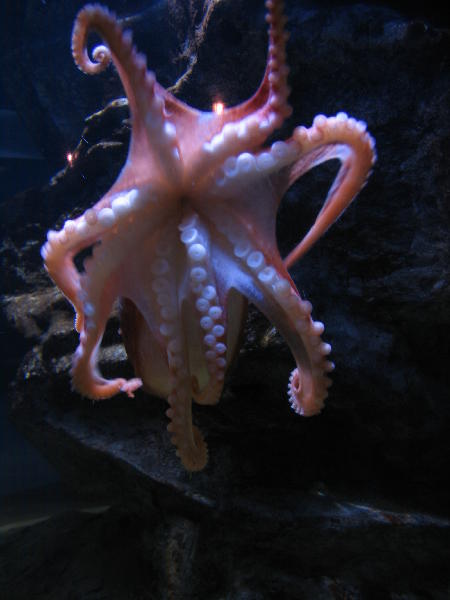 One of the new residents