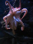 One of the new residents One of the new residents