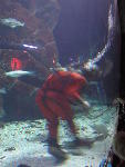IMG_1541 IMG_1541