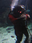 IMG_1542 IMG_1542