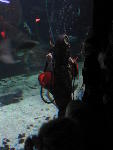 IMG_1543 IMG_1543