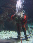 IMG_1544 IMG_1544