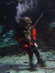 IMG_1546 IMG_1546