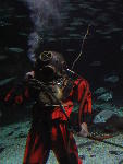 IMG_1547 IMG_1547