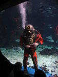 IMG_1548 IMG_1548
