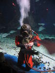 IMG_1549 IMG_1549