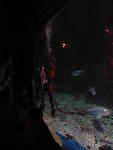 IMG_1550 IMG_1550
