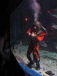 IMG_1551 IMG_1551