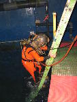 IMG_1560 IMG_1560