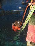 IMG_1579 IMG_1579