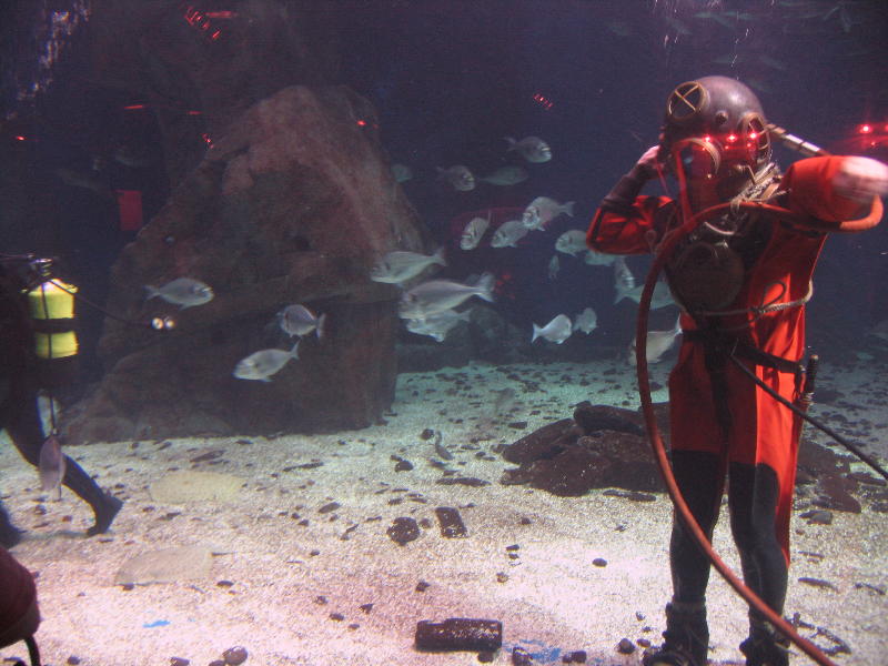 Adrian and a staff diver