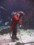 IMG_1586 IMG_1586