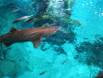 IMG_1597 IMG_1597