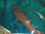 IMG_1600 IMG_1600