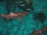 IMG_1601 IMG_1601