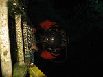 IMG_1617 IMG_1617