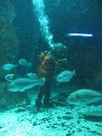 IMG_1618 IMG_1618