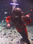 IMG_1619 IMG_1619