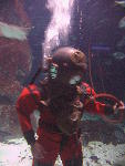 IMG_1620 IMG_1620