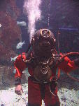 IMG_1621 IMG_1621