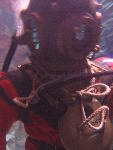 IMG_1622 IMG_1622