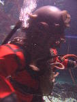 IMG_1624 IMG_1624