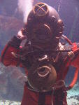 IMG_1625 IMG_1625