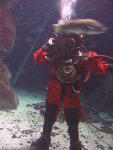 IMG_1626 IMG_1626