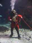 IMG_1631 IMG_1631