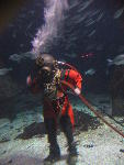 IMG_1634 IMG_1634