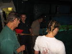 Feeding the game fish Feeding the game fish