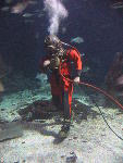 IMG_1678 IMG_1678