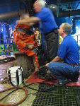 IMG_1694 IMG_1694