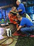 IMG_1695 IMG_1695