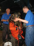 IMG_1706 IMG_1706