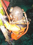IMG_1711 IMG_1711