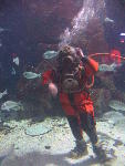 IMG_1713 IMG_1713
