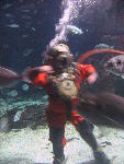 IMG_1714 IMG_1714