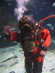 IMG_1715 IMG_1715