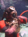 IMG_1716 IMG_1716