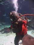 IMG_1717 IMG_1717