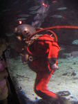 IMG_1718 IMG_1718