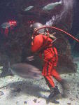 IMG_1720 IMG_1720