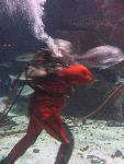 IMG_1721 IMG_1721