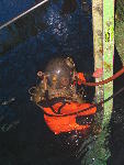 IMG_1722 IMG_1722
