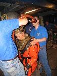 IMG_1733 IMG_1733