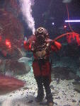 London Aquarium, London, UK: IMG 1742