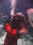 IMG_1743 IMG_1743