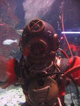 IMG_1744 IMG_1744