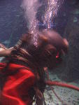 IMG_1745 IMG_1745